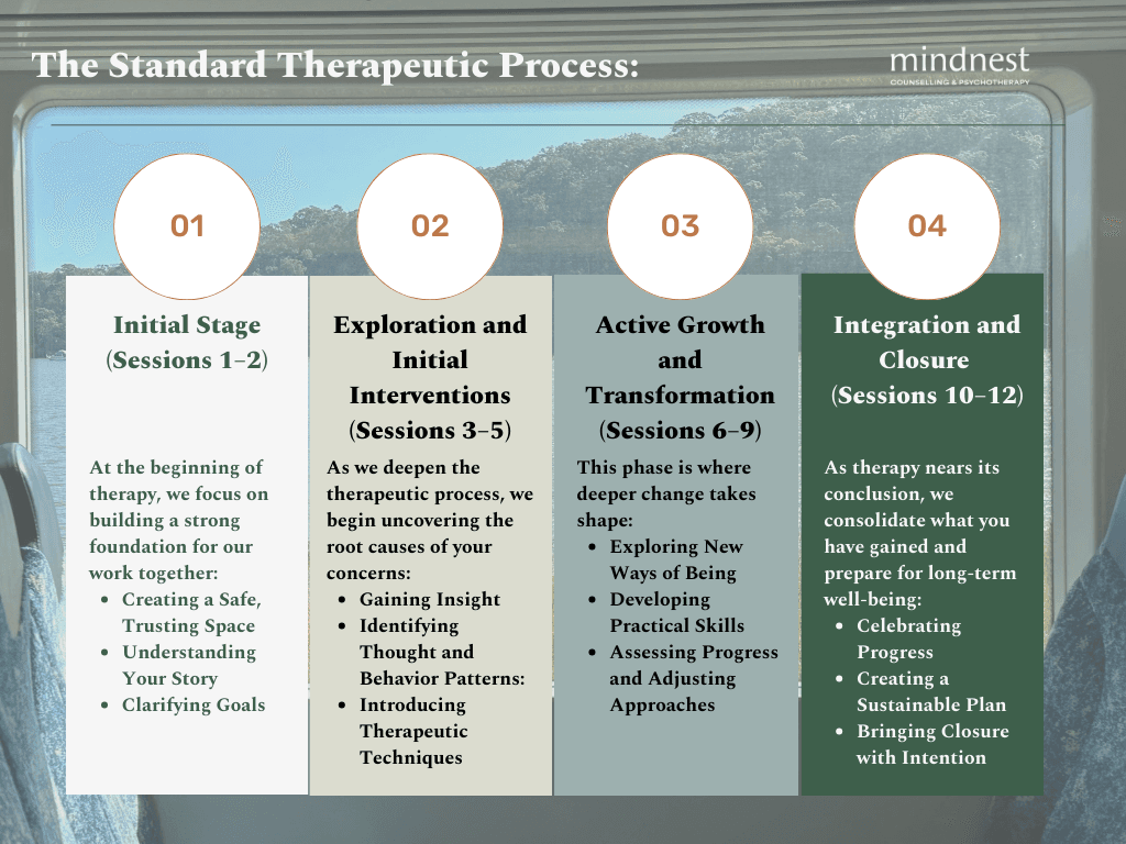 The Standard Therapeutic Process MindNest